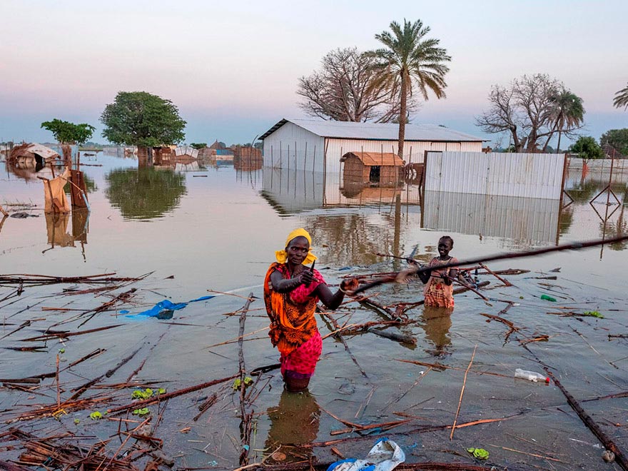 UNIDOS por el cambio climático