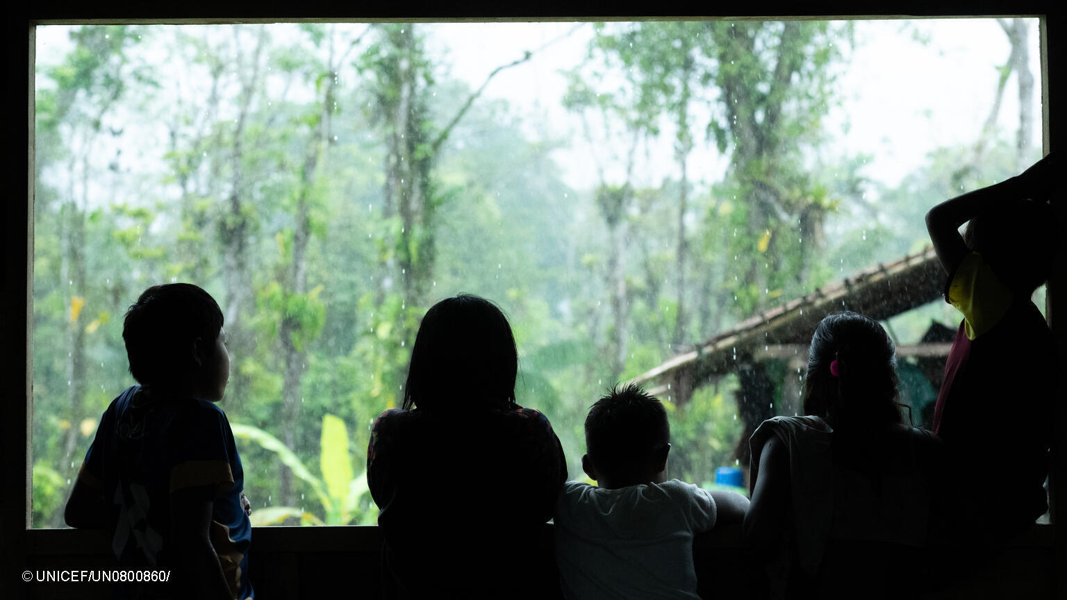 niños y niñas a contraluz en la selva