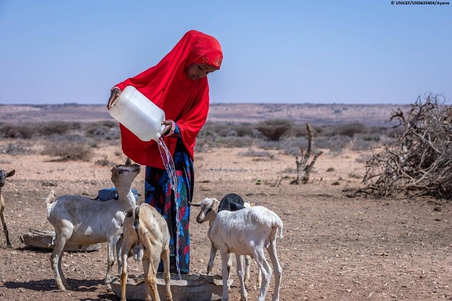 Una niña da de beber a sus cabras en Somalia