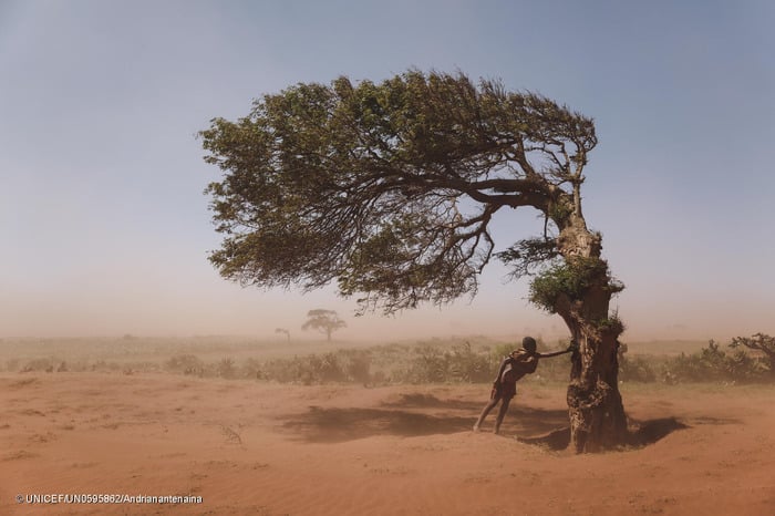 un niño se refugia en un árbol que crece en la dirección que sopla el viento, para protegerse de una tormenta de arena en Madagascar..