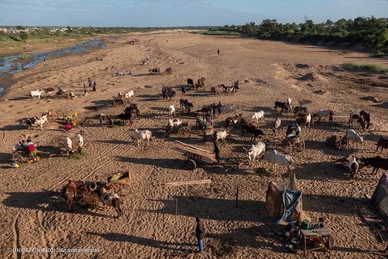 La foto muestra el lecho seco del río Manambovo, donde numerosos carros tirados por cebúes están estacionados sobre el cauce del río. Madagascar