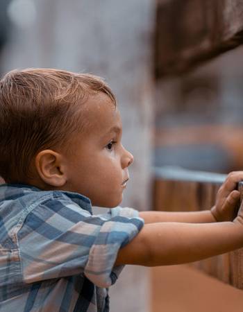 Un niño mirando a través de una valla.