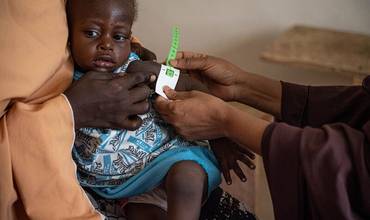 Nigeria: 25 millones de personas en riesgo de inseguridad alimentaria