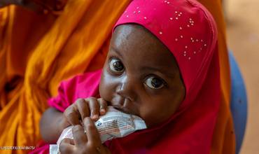 Seguridad alimentaria y nutrición