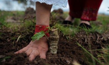 Cultivar la Agenda 2030 desde el huerto escolar