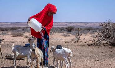 Una niña da de beber a sus cabras en Somalia