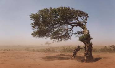 un niño se refugia en un árbol que crece en la dirección que sopla el viento, para protegerse de una tormenta de arena en Madagascar..