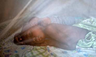 275 millones de mosquiteras contra la malaria.