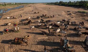 La foto muestra el lecho seco del río Manambovo, donde numerosos carros tirados por cebúes están estacionados sobre el cauce del río. Madagascar
