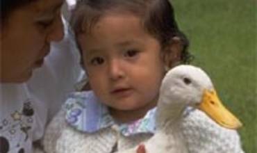 LA CONVENCIÓN SOBRE LOS DERECHOS DEL NIÑO CUMPLE 15 AÑOS