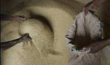 Un año después en Niger