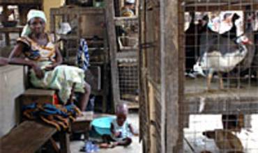 La educación y la concienciación ayudan a contener la gripe aviar