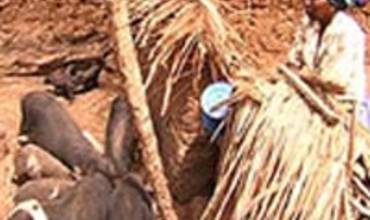 Mediante la micro financiación se potencia a las mujeres y se mejoran vidas en Togo