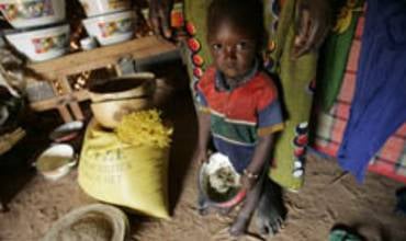 Emergencia silenciosa: crisis nutricional en Níger