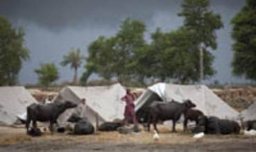 Tres agencias de Naciones Unidas alertan de la necesidad de ampliar la respuesta en Pakistán