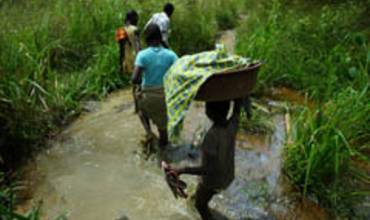 Brote de cólera en Costa de Marfil
