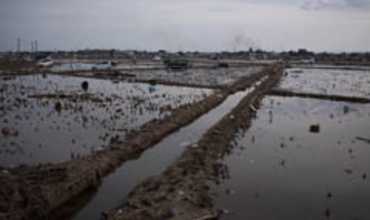 UNICEF muestra su apoyo a los afectados por el terremoto de Japón 