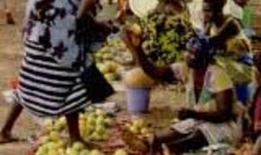 EL TRABAJO DE UNICEF-GUINEA BISSAU EN LAS IX JORNADAS SOBRE COOPERACIÓN AL DESARROLLO DE CASTILLA-LA MANCHA