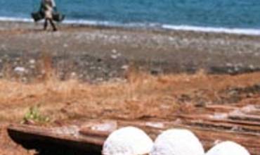 MILLONES DE NIÑOS Y NIÑAS ESTÁN EN PELIGRO DE SUFRIR RETRASO MENTAL DEBIDO AL DÉFICIT DE YODO EN SU ALIMENTACIÓN