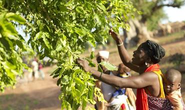 La ayuda al desarrollo tiene resultados