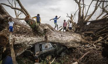 Día Mundial del Medio Ambiente: ¡es el momento de actuar contra el cambio climático!