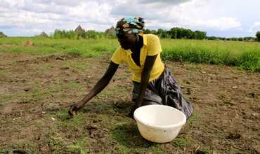 Sudán del Sur: comer sangre de vaca seca y tostada