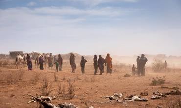 Etiopía: "muere el ganado... quién sabe si seremos los próximos"