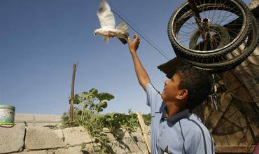 Preocupación por las consecuencias de la violencia sobre los niños en Gaza y Sur de Israel