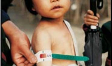 INFORME ANUAL DE UNICEF 2003