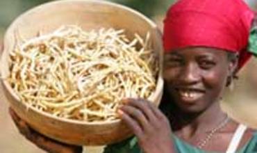 ACOSTUMBRADOS A LA FALTA DE ALIMENTOS