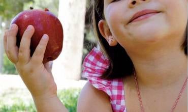 Malnutrición, obesidad y derechos de la infancia en España