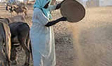 Situación de EMERGENCIA en Sudán