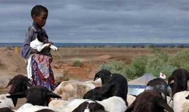 En Etiopia, las escuelas se vacían por los efectos de la sequía