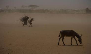 Suministros de emergencia en Somalia