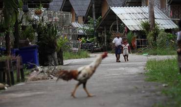 Tailandia: violencia contra los niños