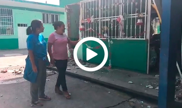 Terremoto en México: más de 5.000 escuelas dañadas