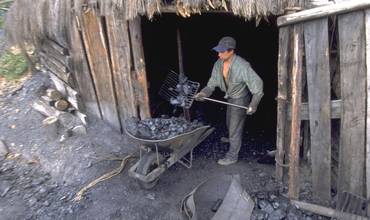 El precio del trabajo infantil