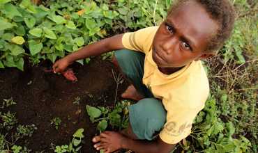 Ciclón Winston: El Niño agrava los desastres naturales en el Pacífico 