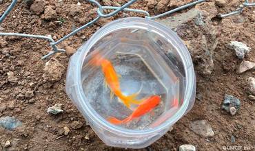 Violencia en Mosul: el niño que no abandona a sus peces de colores