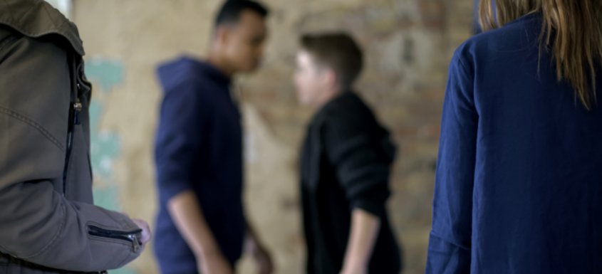 Causas y consecuencias del bullying o acoso escolar