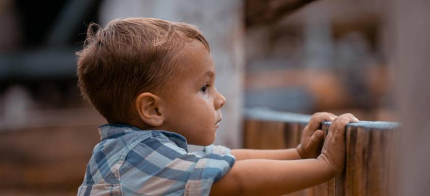 Un niño mirando a través de una valla.