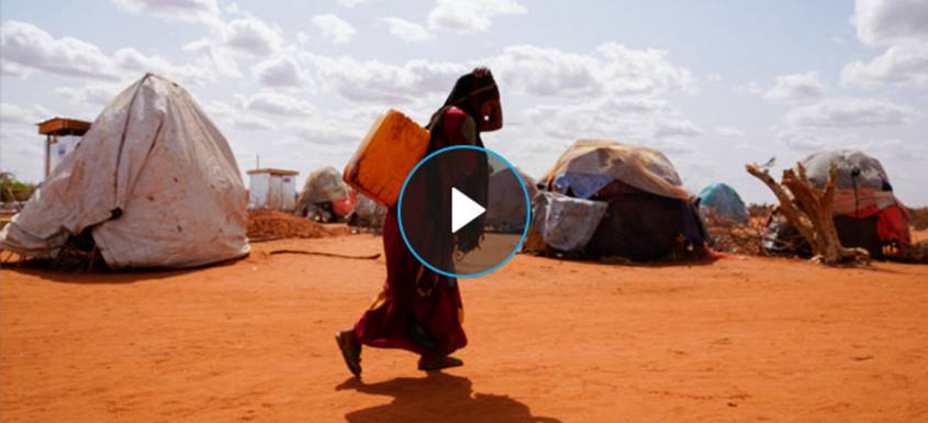 ¿Cuáles son las diferencias entre malnutrición y desnutrición?