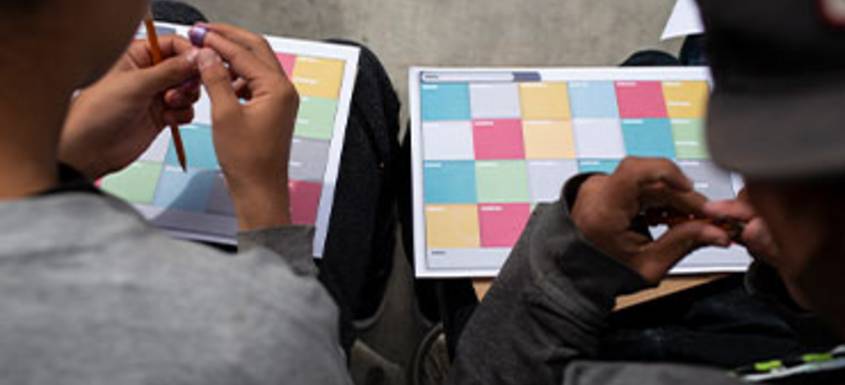 ¿Has oído hablar de las tres inteligencias y cómo funcionan con la rabia?