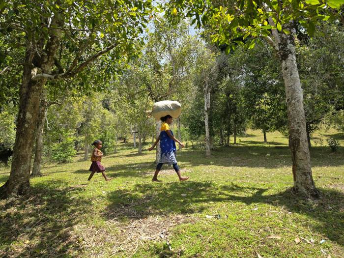 Sostenibilidad, Madagascar