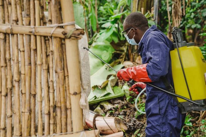 Desinfectamos las viviendas para hacer frente al cólera.
