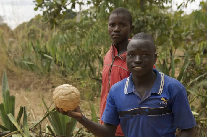 En Malawi, un chico sostiene un balón hecho a mano.