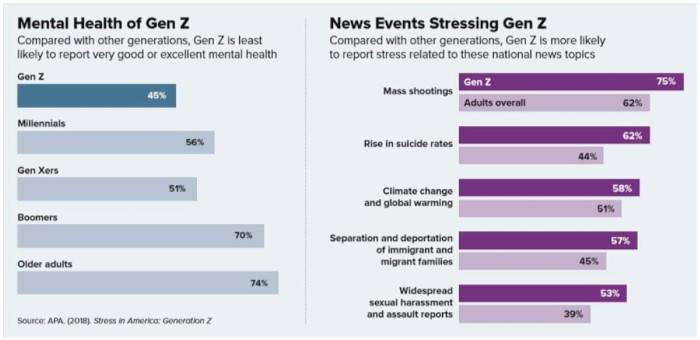 Mental health on Gen Z.